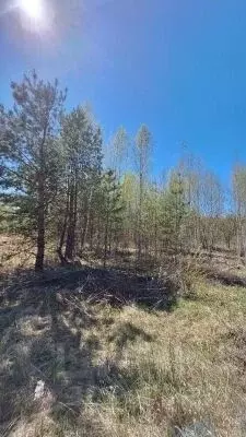 Участок в Свердловская область, Верхняя Пышма городской округ, с. ... - Фото 1