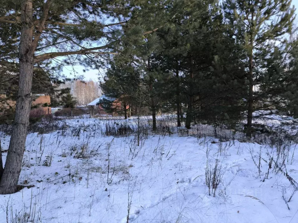 Участок в Московская область, Раменский муниципальный округ, с. Речицы ... - Фото 1