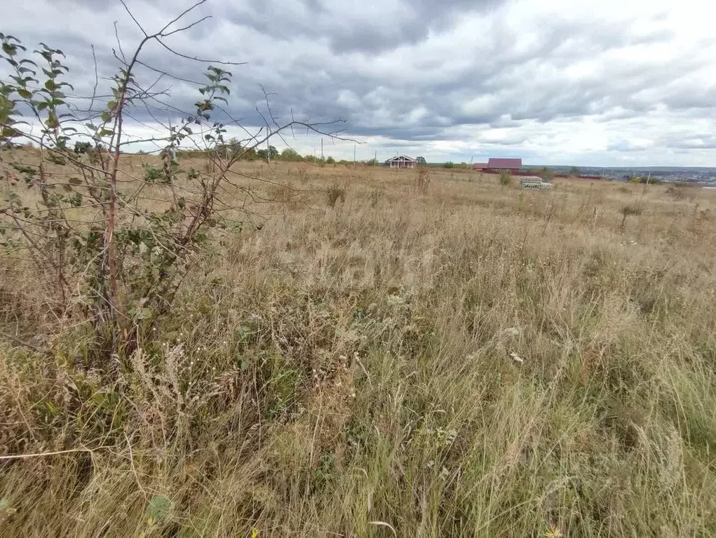 Участок в Воронежская область, Рамонский район, Новоживотинновское ... - Фото 1