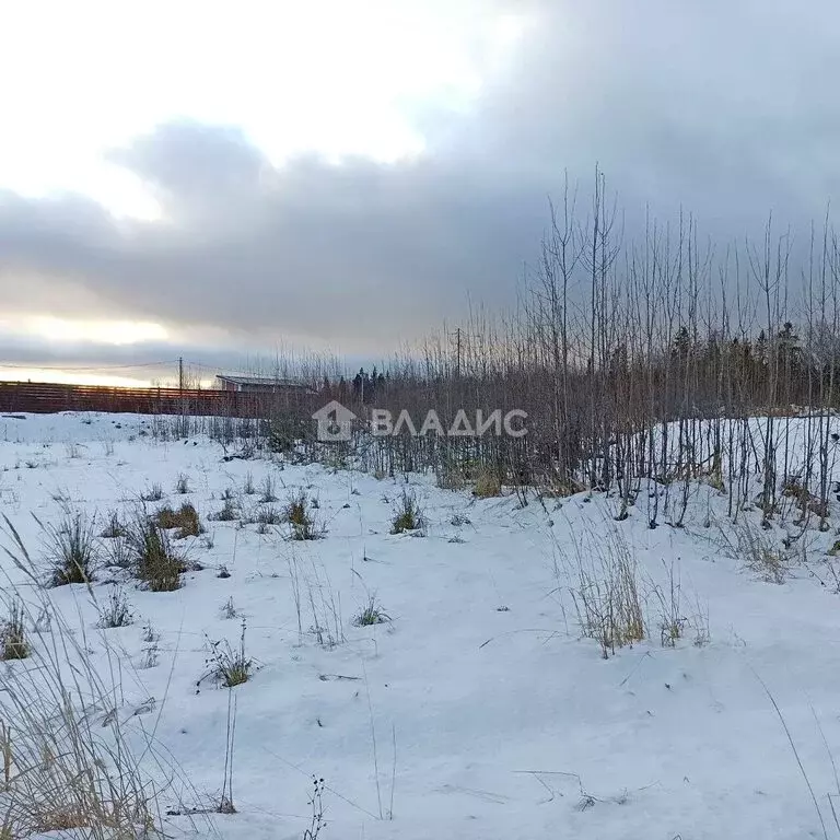 Участок в Петрозаводск, Севастопольский проезд (16.67 м) - Фото 2