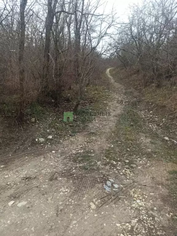 Участок в Краснодарский край, Новороссийск городской округ, Раевская ... - Фото 2