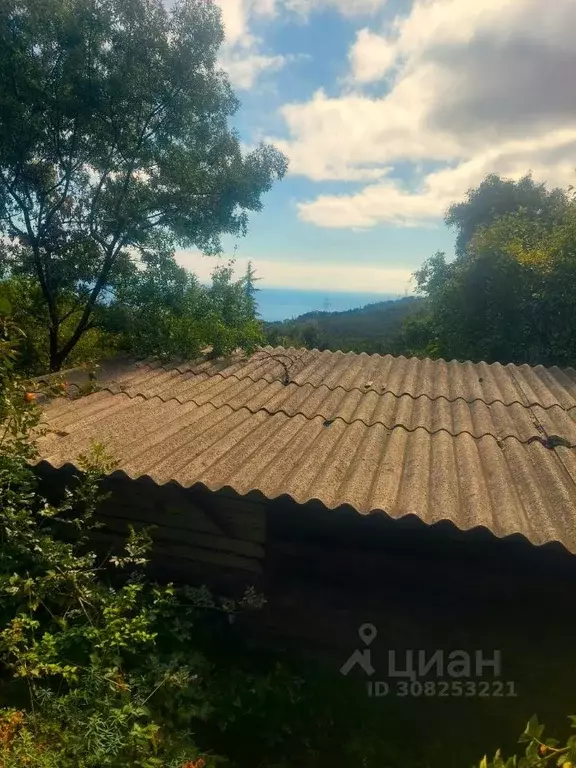 Участок в Крым, Ялта городской округ, Гурзуф пгт ул. Приветная, 1 (3.5 ... - Фото 1