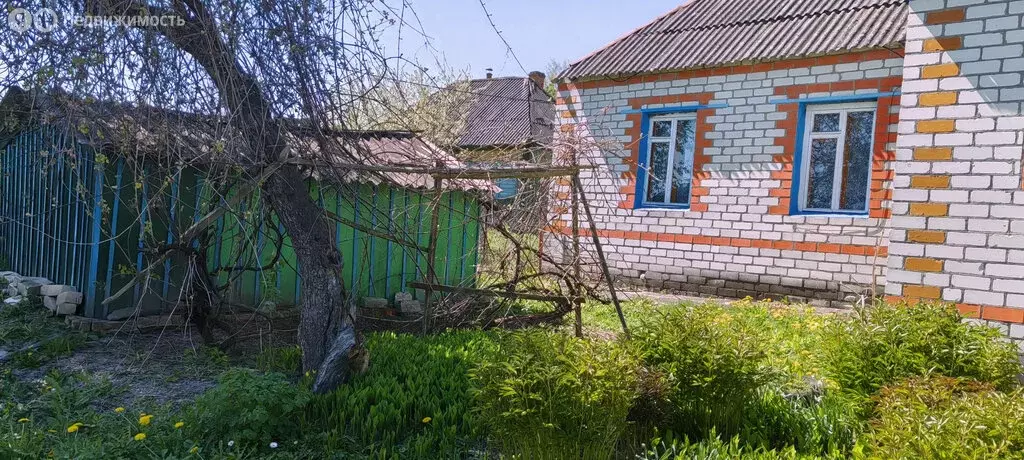 Дом в Лопушь, Набережная улица, 46 (76 м) - Фото 1