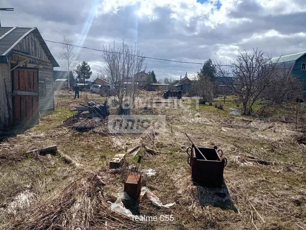 Участок в Вологодская область, Вологда Швейник садоводческое ... - Фото 2