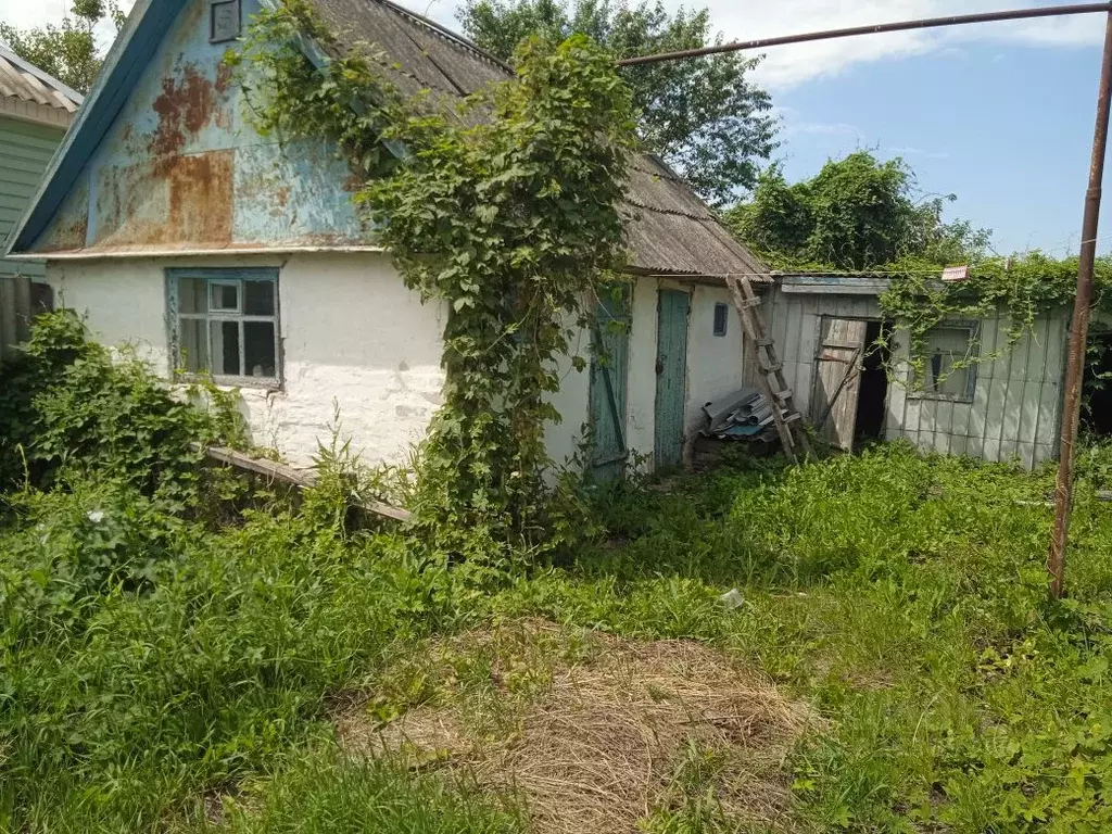 Дом в Воронежская область, Таловая рп ул. Богдана Хмельницкого (58 м) - Фото 2