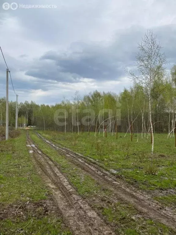 Участок в Суворовский район, сельское поселение Северо-Западное, ... - Фото 2