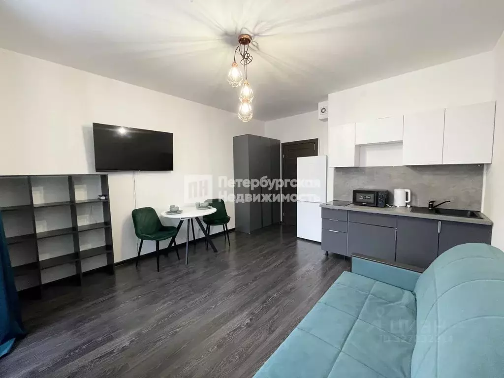 Студия Санкт-Петербург просп. Ветеранов, 196 (24.4 м) - Фото 1