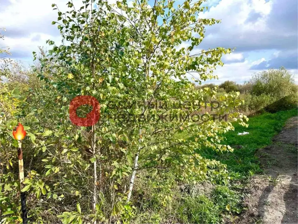 Участок в Тюменская область, Тюменский муниципальный округ, с. ... - Фото 1
