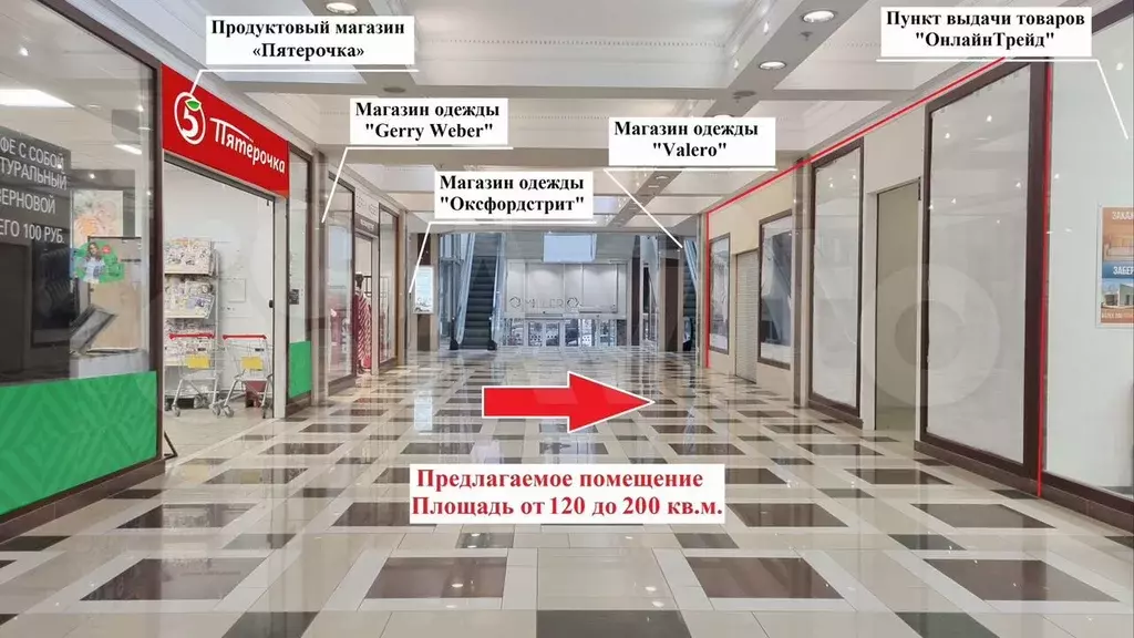 Свободного назначения, 50 м - Фото 0