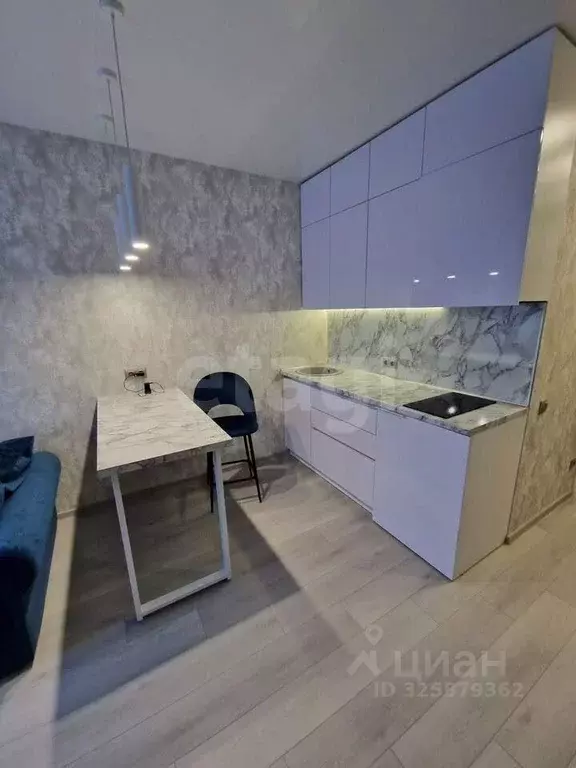 Студия Новосибирская область, Новосибирск ул. Державина, 50 (26.0 м) - Фото 1