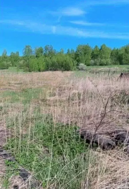 Участок в Алтайский край, Бийск городской округ, с. Фоминское ул. ... - Фото 1