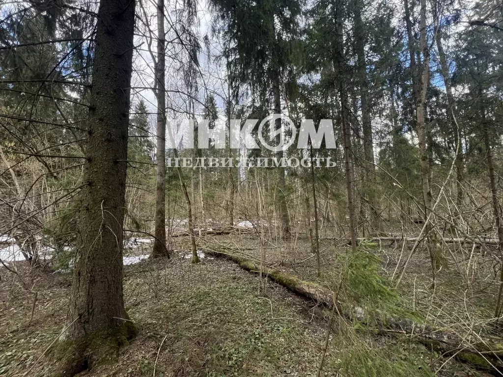 Участок в Московская область, Мытищи городской округ, д. Голенищево, ... - Фото 1