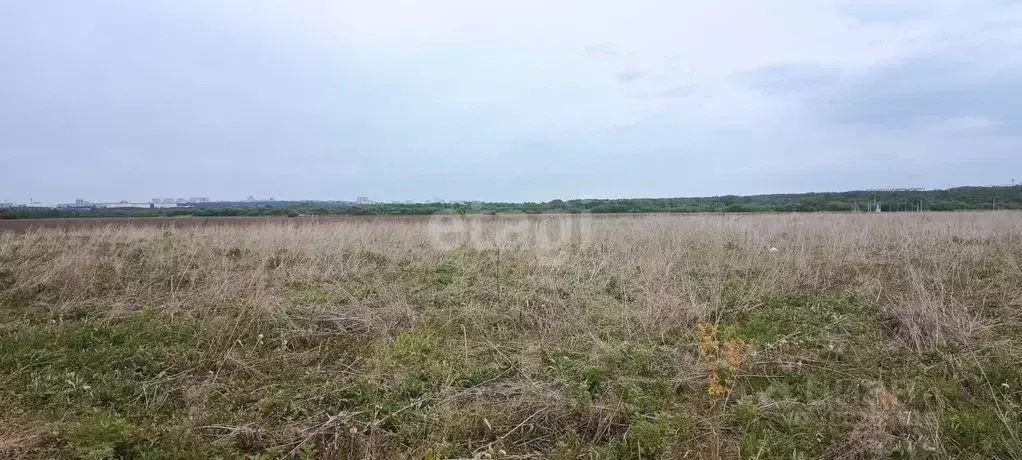 Участок в Воронежская область, Семилукский район, с. Девица, Поречье-2 ... - Фото 1