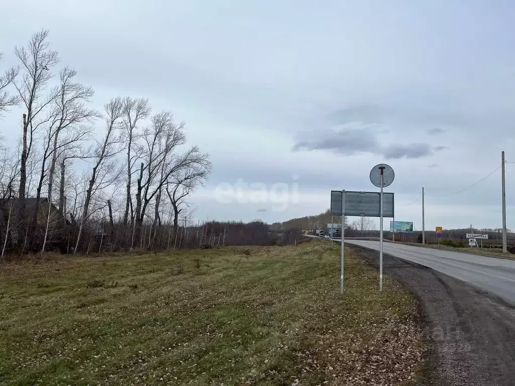 Участок в Алтайский край, Белокуриха ул. Брусничная (10.4 сот.) - Фото 1