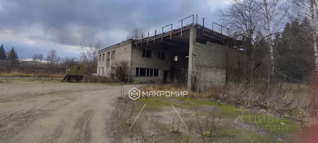 Производственное помещение в Брянская область, Дубровка рп ул. Победы, ... - Фото 2