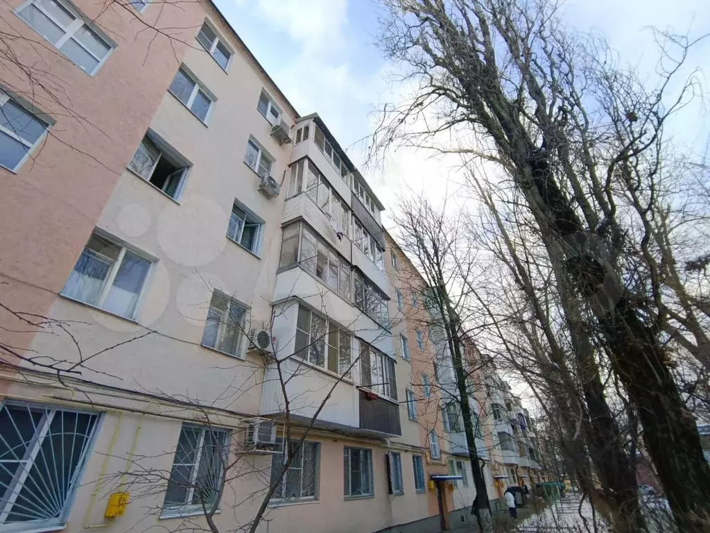 3-к. квартира, 55 м, 2/5 эт. - Фото 1