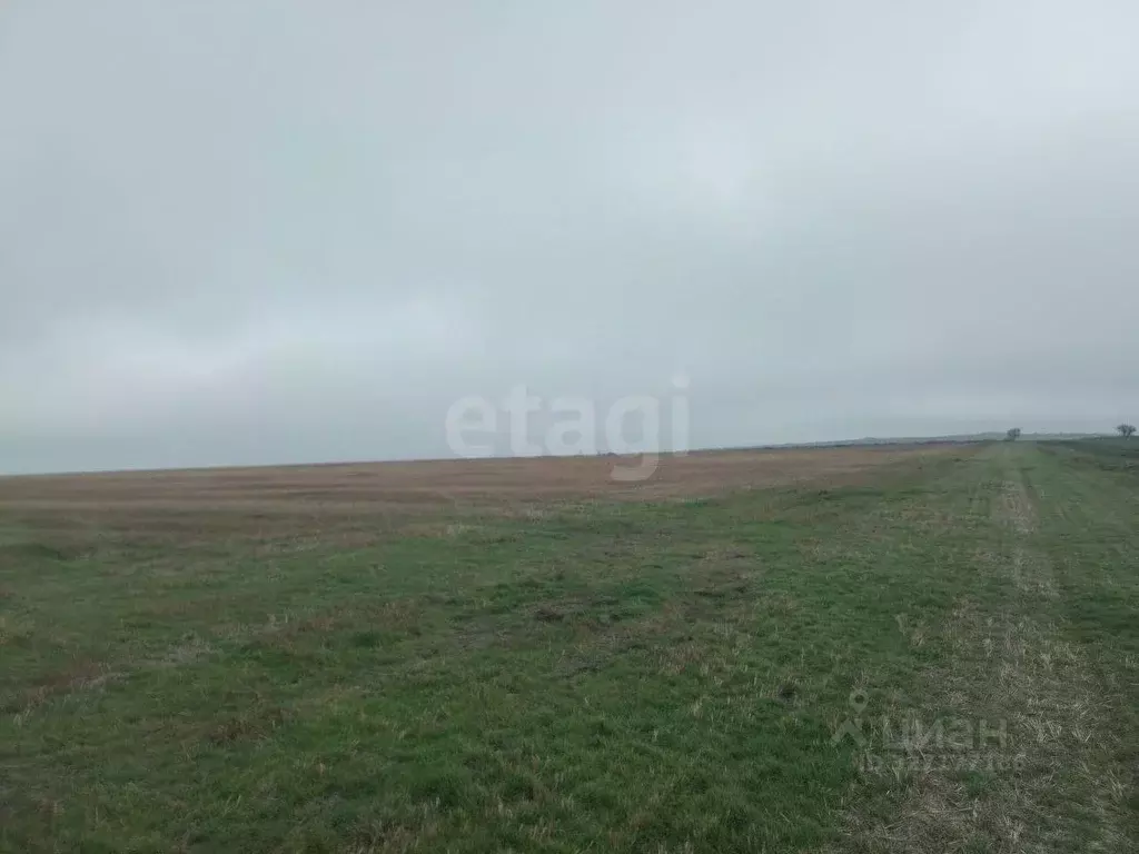 Участок в Крым, Ленинский район, Семисотское с/пос, с. Каменское ул. ... - Фото 1