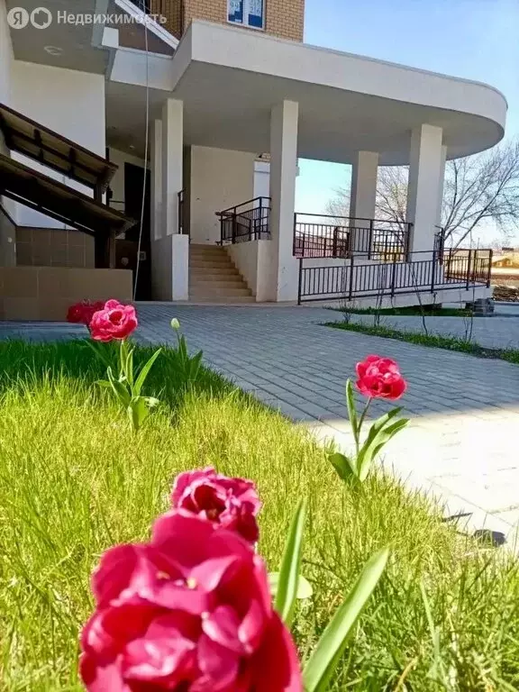 Квартира-студия: Краснодар, улица имени Ф.И. Шаляпина, 30/1 (29.2 м) - Фото 1