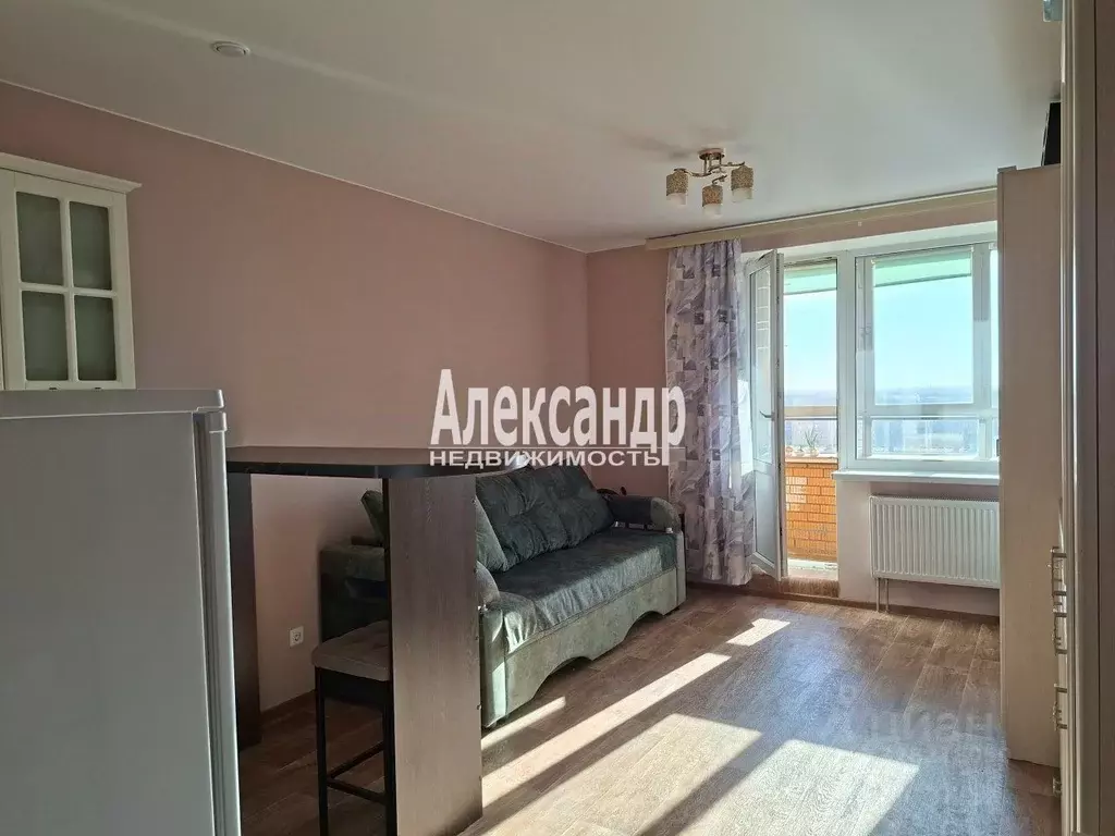 Студия Санкт-Петербург пос. Металлострой, Полевая ул., 9 (26.4 м) - Фото 2