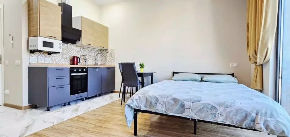 Студия Краснодарский край, Сочи ул. Кошевого, 13с1 (27.0 м) - Фото 1