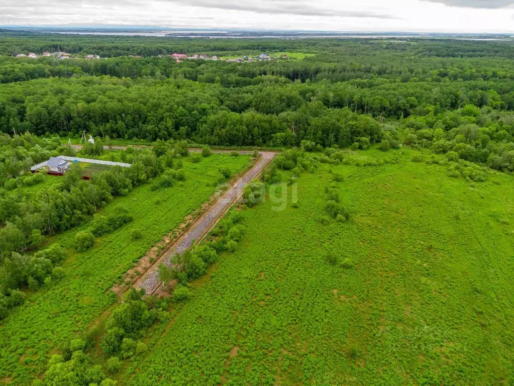Участок в Хабаровский край, Хабаровский район, Мичуринское с/пос, ... - Фото 1