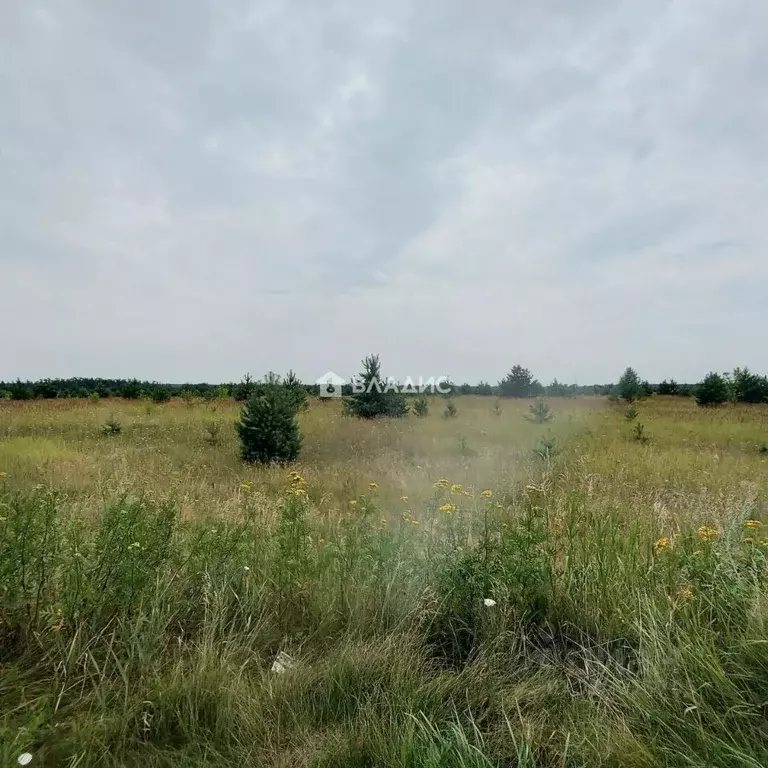 Участок в Липецкая область, Липецк Радужный кп,  (10.0 сот.) - Фото 2