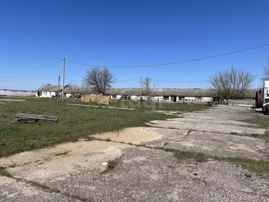 Склад в Крым, Симферопольский район, с. Укромное ул. Молодежная (1000 ... - Фото 0
