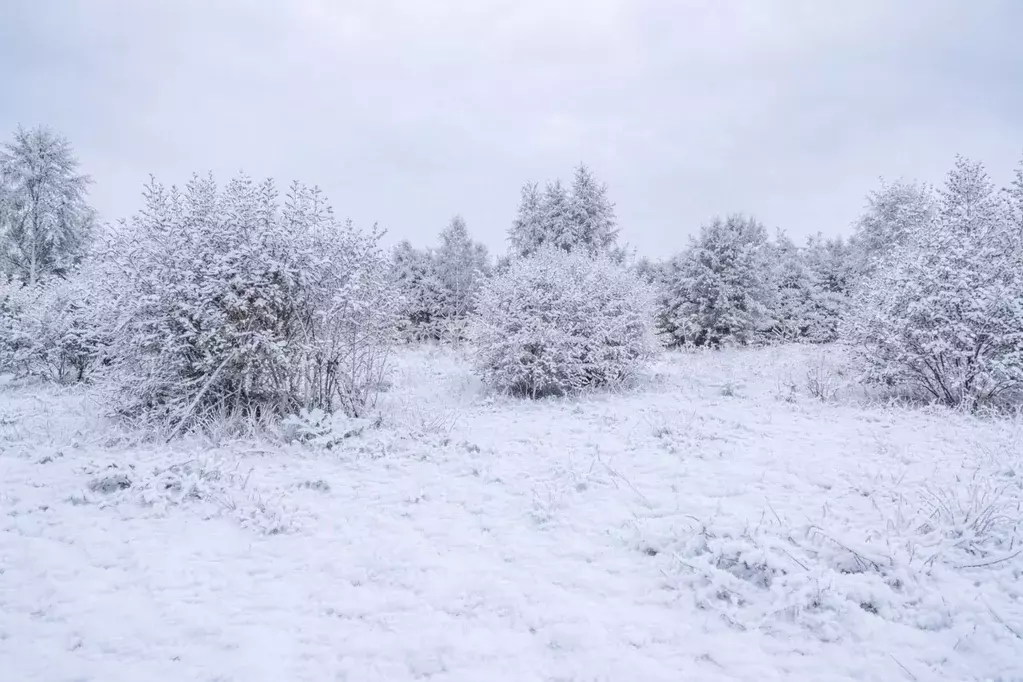 Участок в Московская область, Наро-Фоминский городской округ, д. ... - Фото 2