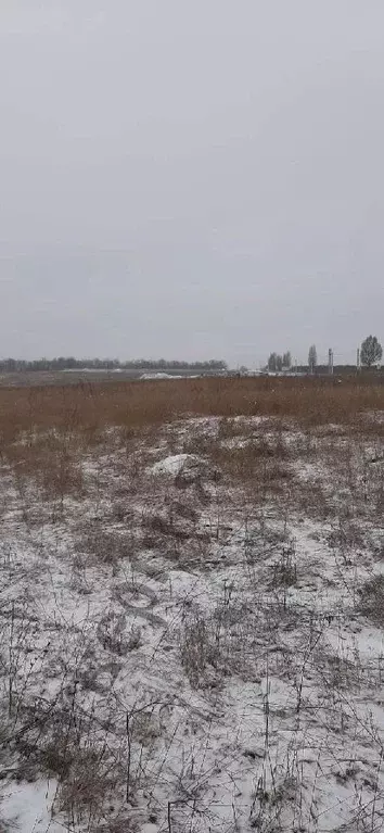 Участок в Белгородская область, Белгородский район, Дубовское с/пос, ... - Фото 1