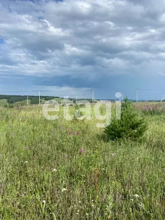 участок в красноярский край, емельяново городское поселение, . - Фото 0