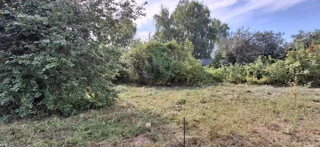 Участок в Татарстан, Казань № 6 СНТ ОАО КМПО КС, 299 (7.2 сот.) - Фото 2