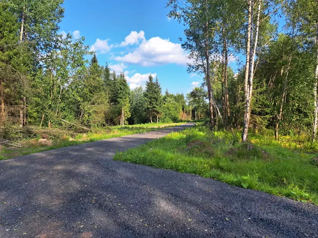Участок в Московская область, Дмитровский муниципальный округ, д. ... - Фото 2