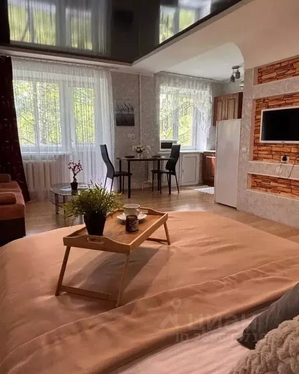 Студия Башкортостан, Октябрьский Комсомольская ул., 31 (30.0 м) - Фото 2