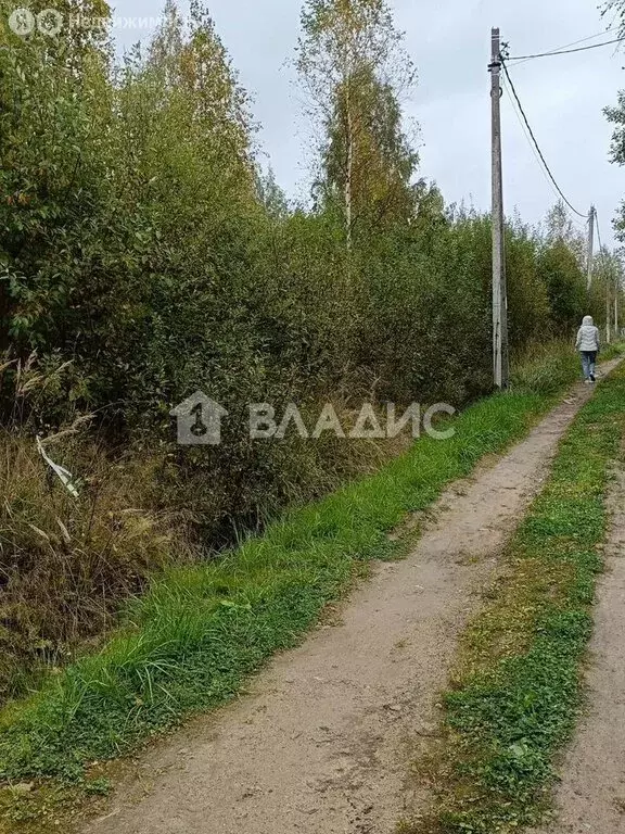 Участок в Лесколовское сельское поселение, дачное некоммерческое ... - Фото 1