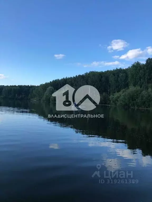 Участок в Новосибирская область, Новосибирский район, с. Криводановка ... - Фото 0