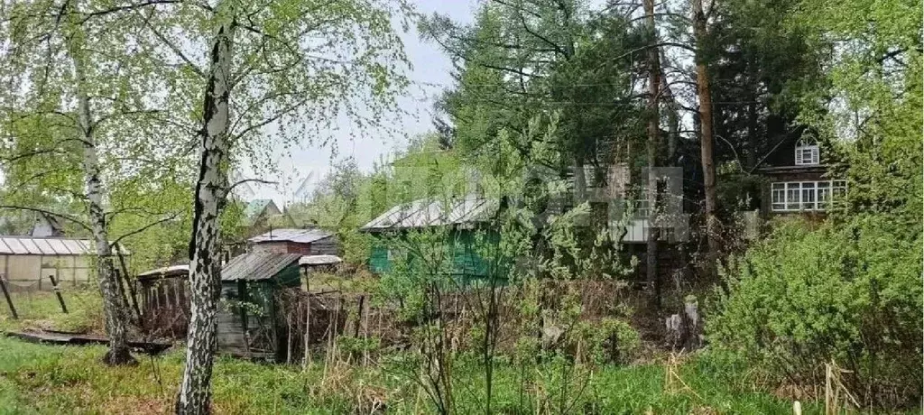Участок в Алтайский край, Барнаул тракт Змеиногорский (1256.0 сот.) - Фото 2