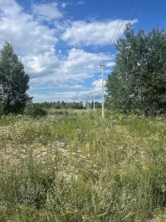 Участок в Тюменская область, Нижнетавдинский муниципальный округ, ... - Фото 2