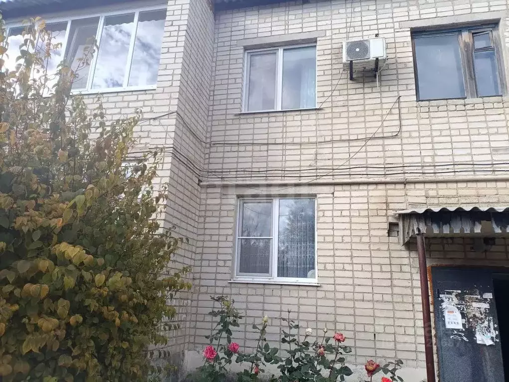 2-к кв. Белгородская область, Вейделевка рп ул. Садовая, 3А (50.1 м) - Фото 1