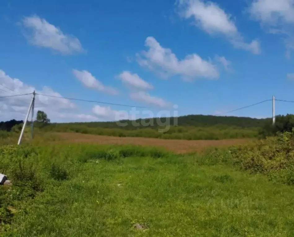 Участок в Калининградская область, Полесский муниципальный округ, пос. ... - Фото 1