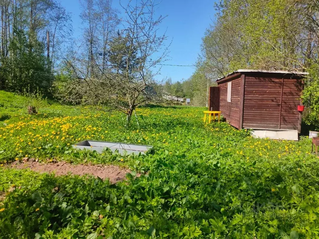 Участок в Санкт-Петербург пос. Петро-Славянка, Красноармейское СНТ, 66 ... - Фото 1
