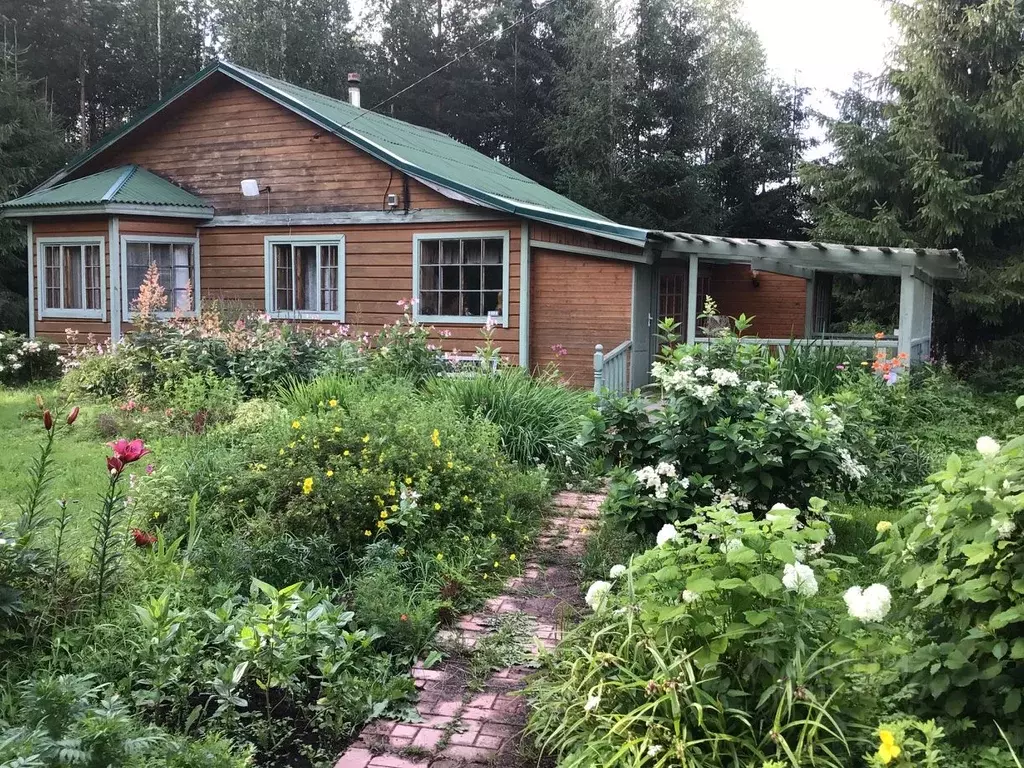 Участок в Ленинградская область, Выборгский район, Рощинское городское ... - Фото 0