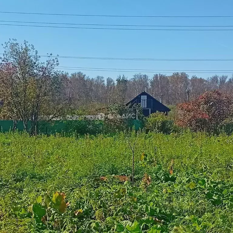 Дом в Новосибирская область, Колыванский район, Металлург СНТ ул. ... - Фото 0