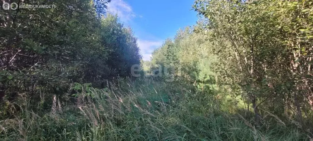 Участок в Московская область, городской округ Ступино, село Ивановское ... - Фото 1
