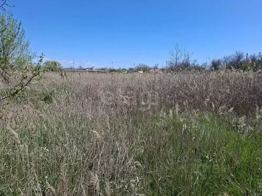 Участок в Крым, Феодосия пер. Казацкий (9.53 сот.) - Фото 1