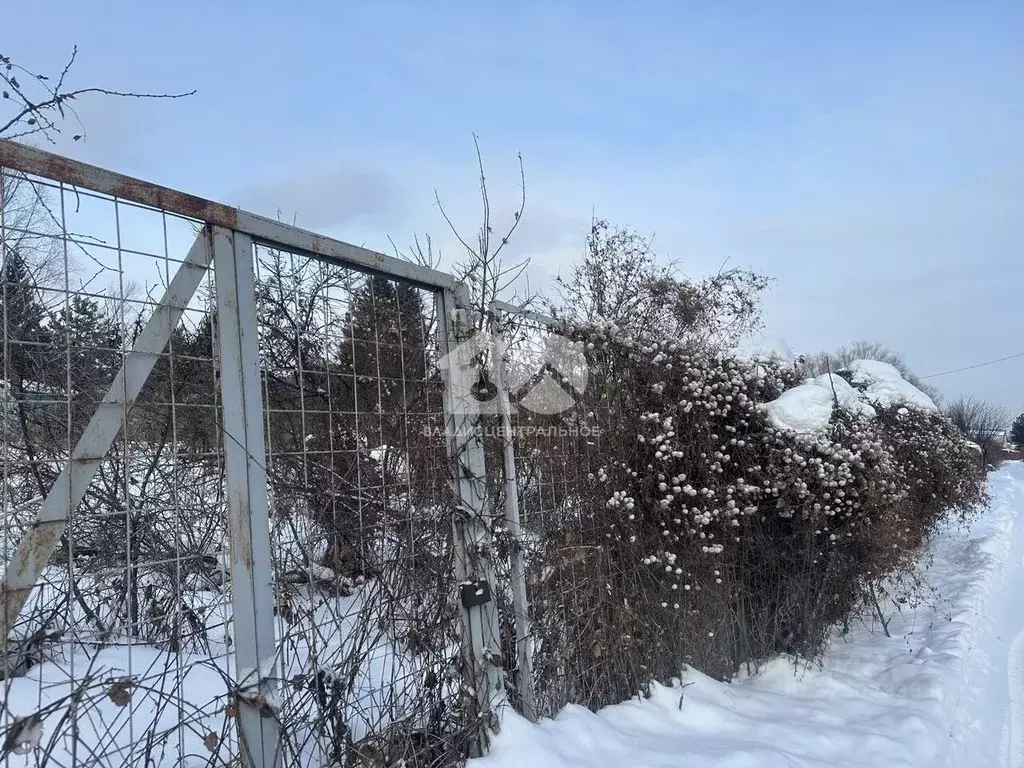 Участок в Новосибирская область, Новосибирск Тополь СНТ, 5-й сектор, ... - Фото 1