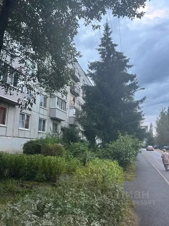 1-к кв. Ленинградская область, Гатчинский муниципальный округ, ... - Фото 1