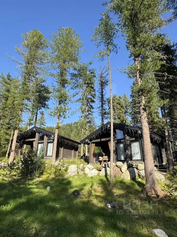 Дом в Алтай, Турочакский район, с. Артыбаш пер. Еловый, 11 (40 м) - Фото 1