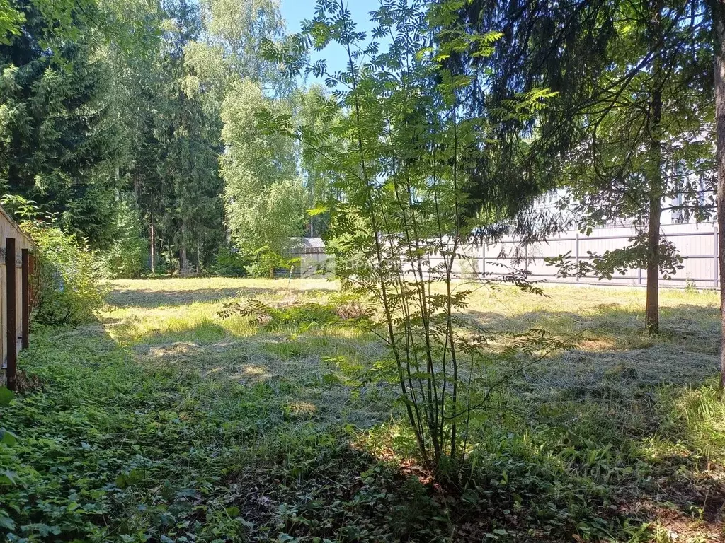 Участок в Московская область, Одинцовский городской округ, д. Сивково, ... - Фото 2