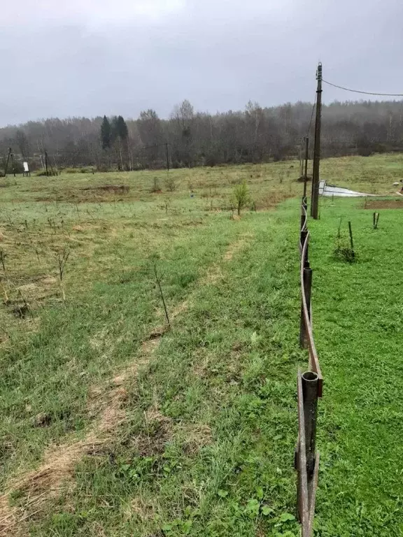Участок в Новгородская область, Чудовский район, Грузинское с/пос, д. ... - Фото 1