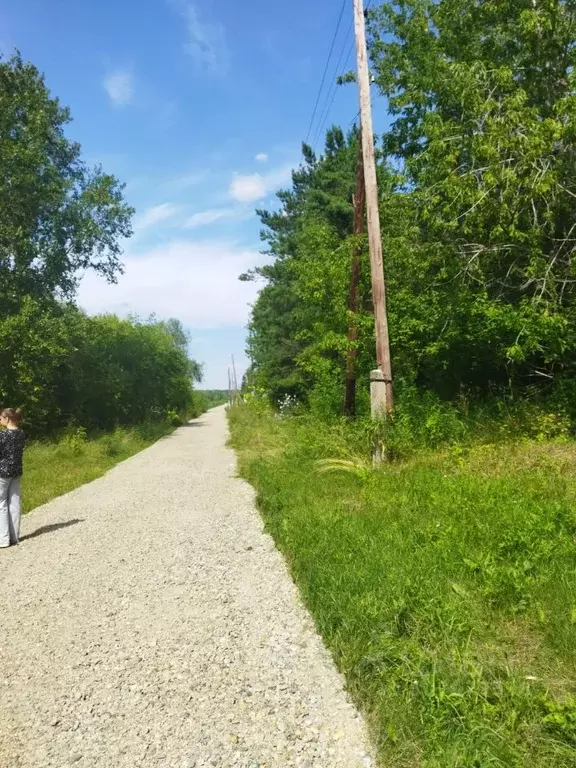 участок в алтайский край, барнаул городской округ, пос. черницк ул. . - Фото 1